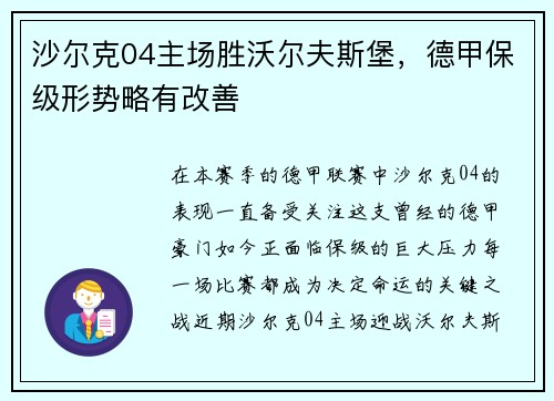 沙尔克04主场胜沃尔夫斯堡，德甲保级形势略有改善