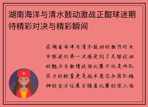 湖南海洋与清水鼓动激战正酣球迷期待精彩对决与精彩瞬间