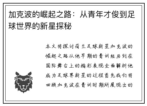 加克波的崛起之路：从青年才俊到足球世界的新星探秘