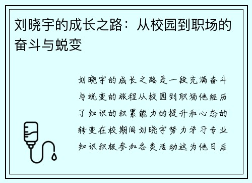 刘晓宇的成长之路：从校园到职场的奋斗与蜕变