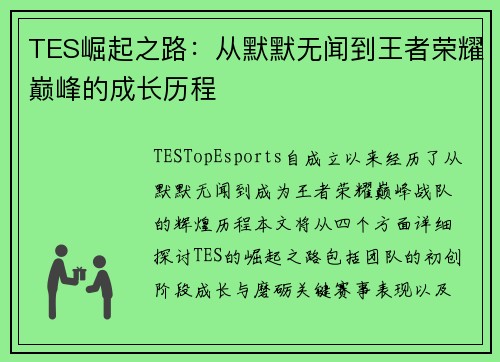 TES崛起之路：从默默无闻到王者荣耀巅峰的成长历程