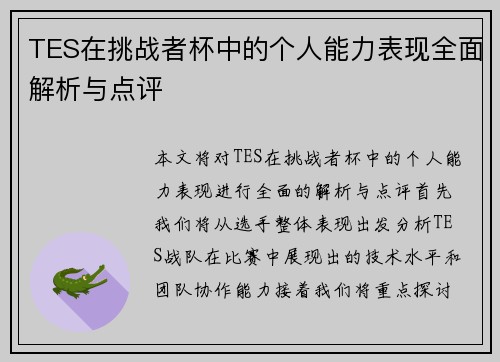 TES在挑战者杯中的个人能力表现全面解析与点评